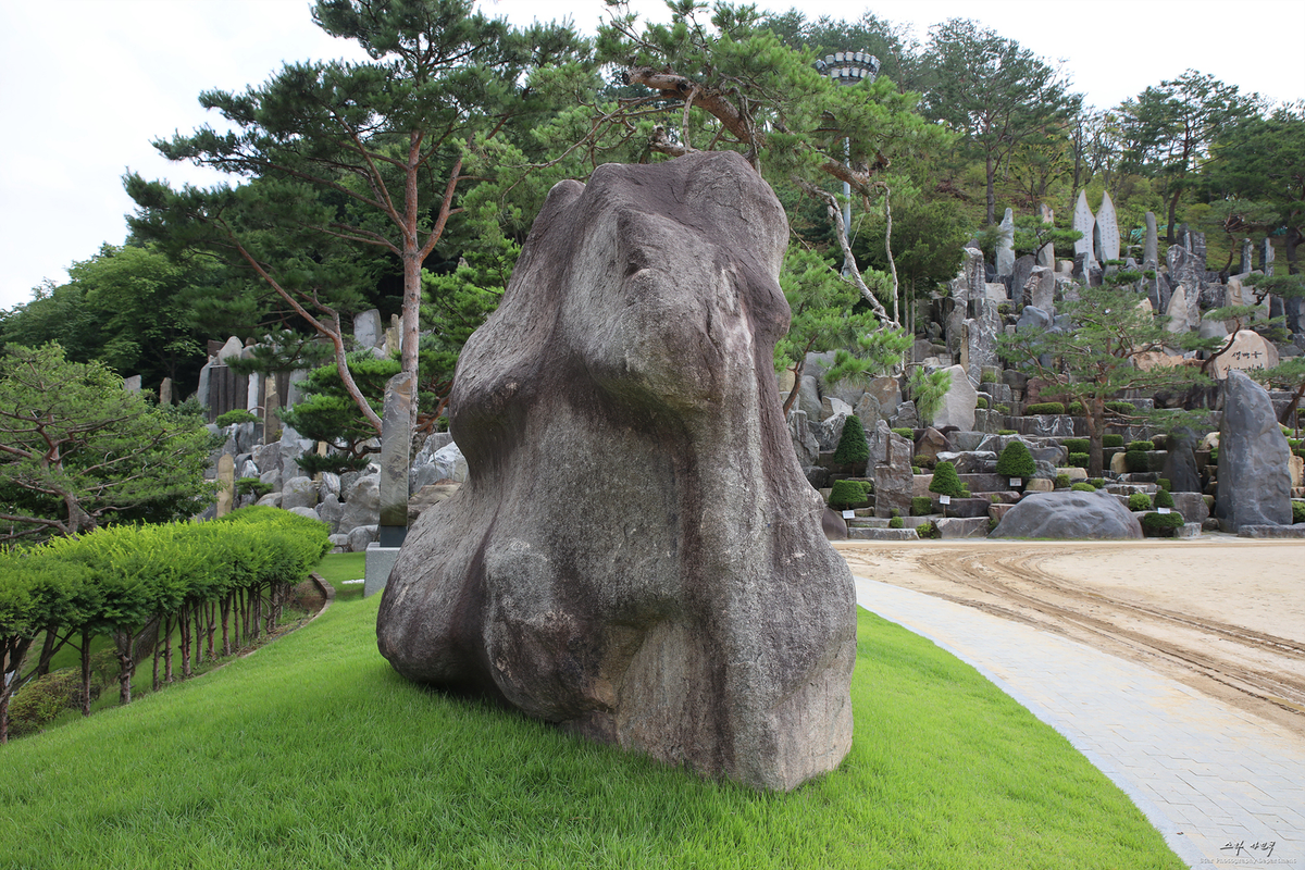 대지의 왕 코끼리 형상을 닮은 월명동 자연성전의 신비로운 자연 암석 코끼리 바위