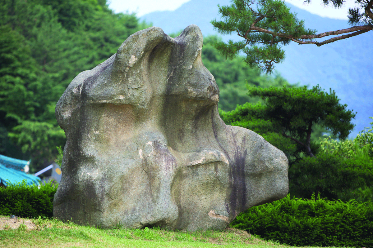 두꺼비 형상을 닮은 모습으로도 관찰되는 월명동 자연성전의 자연 암석 코끼리 바위